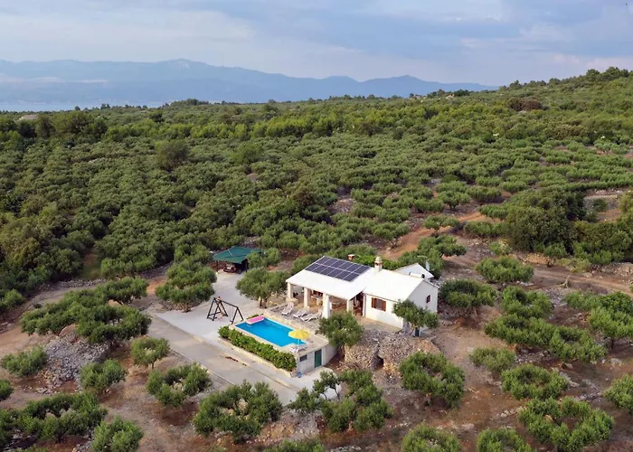 Stomorica Sutivan